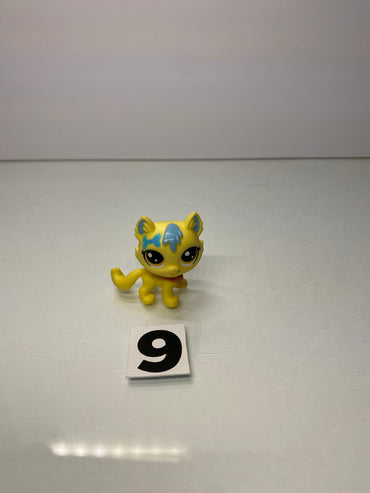 Cat Toy
