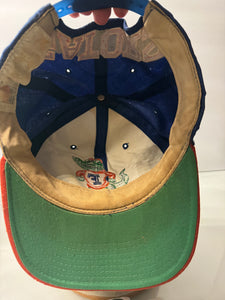 Gators Hat