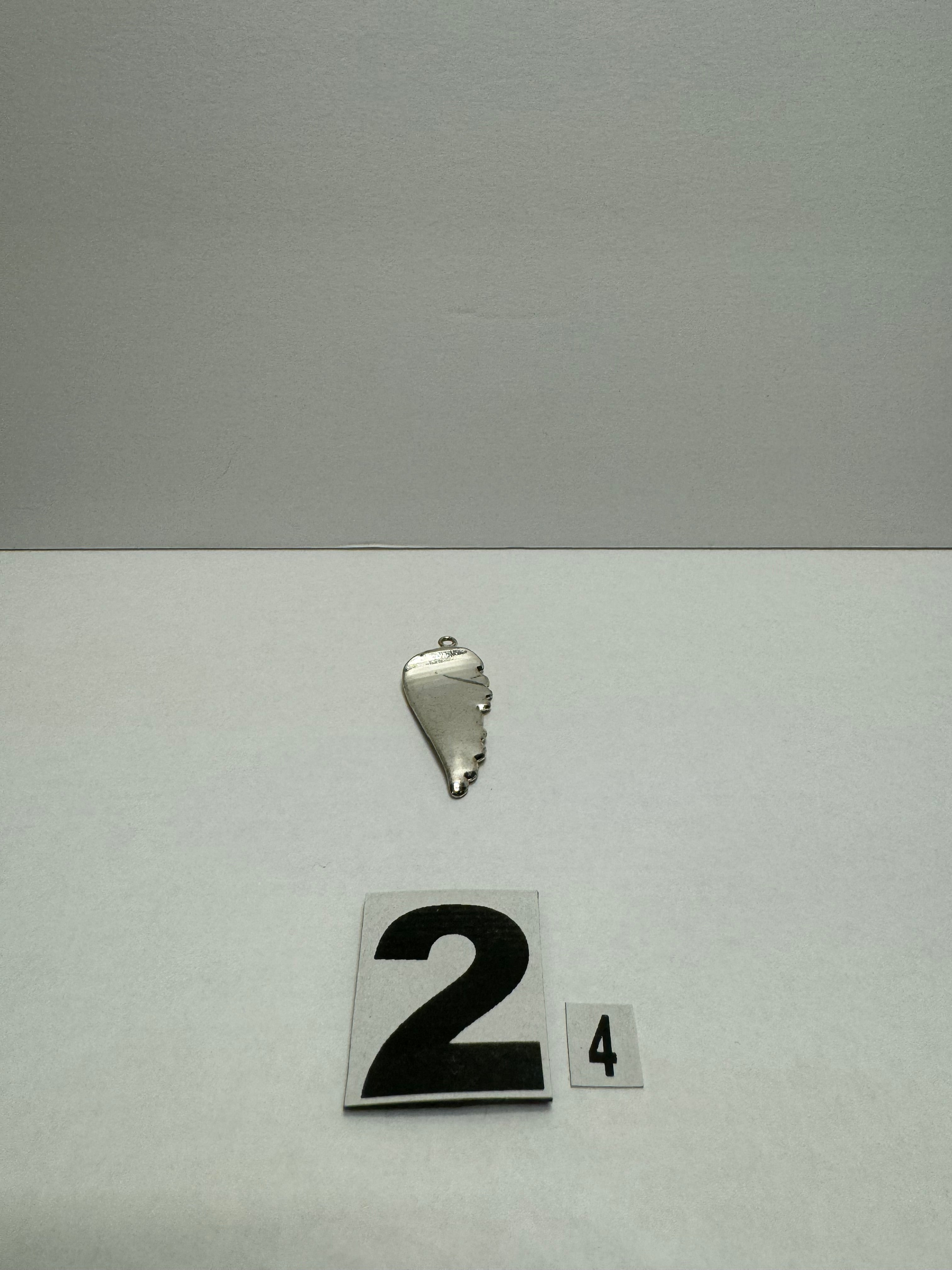 Chrome Wing Charm