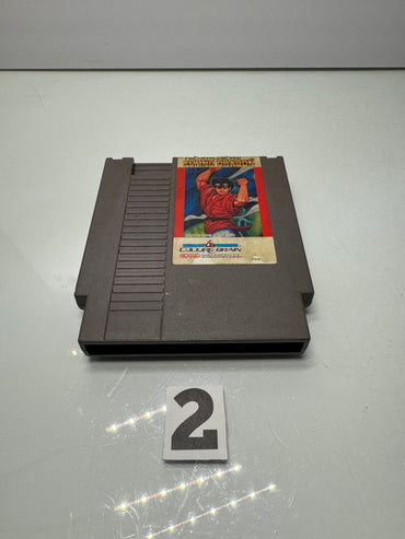 Flying Dragon NES Video Game