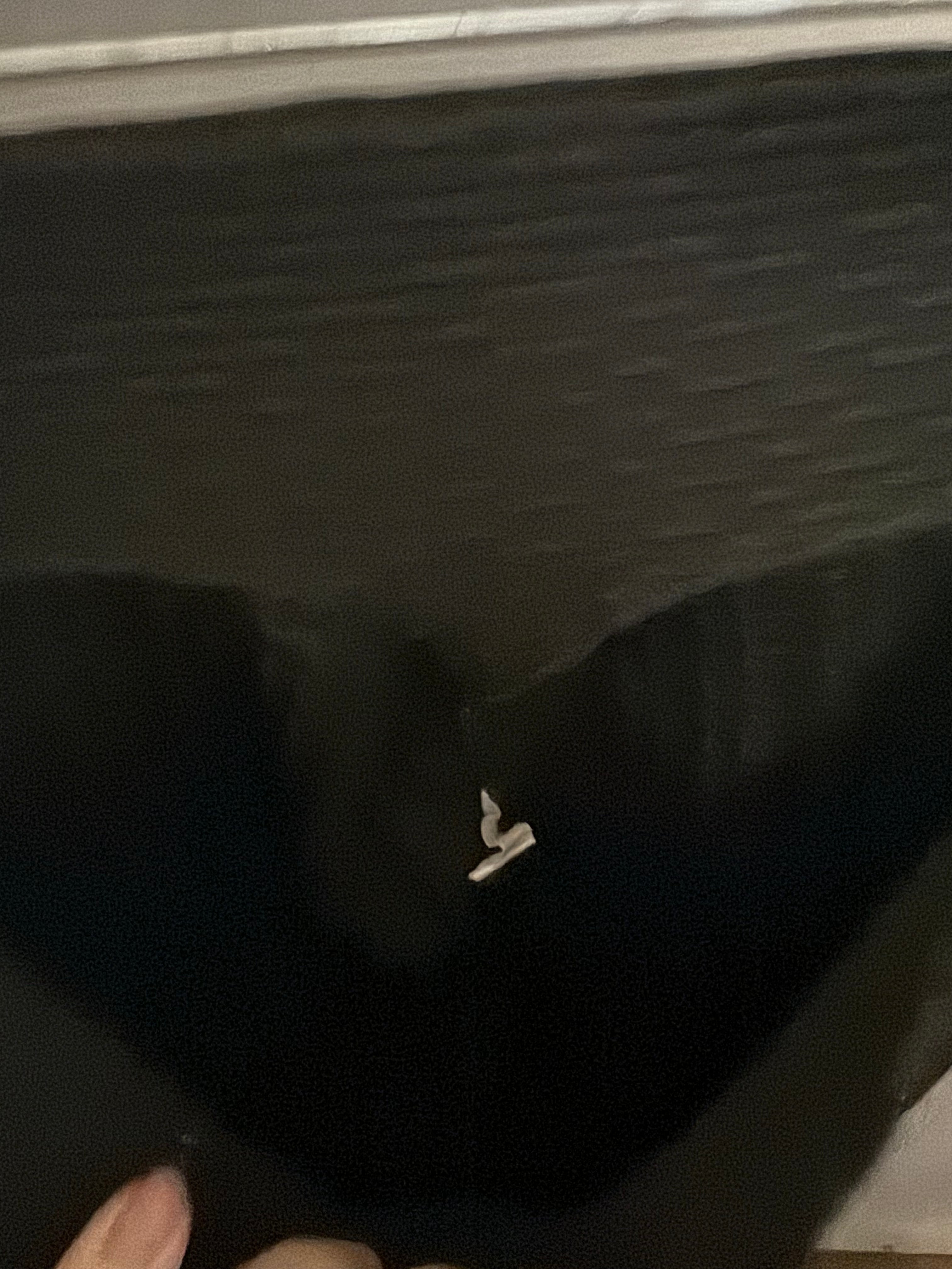 Women’s XL Black Leggings