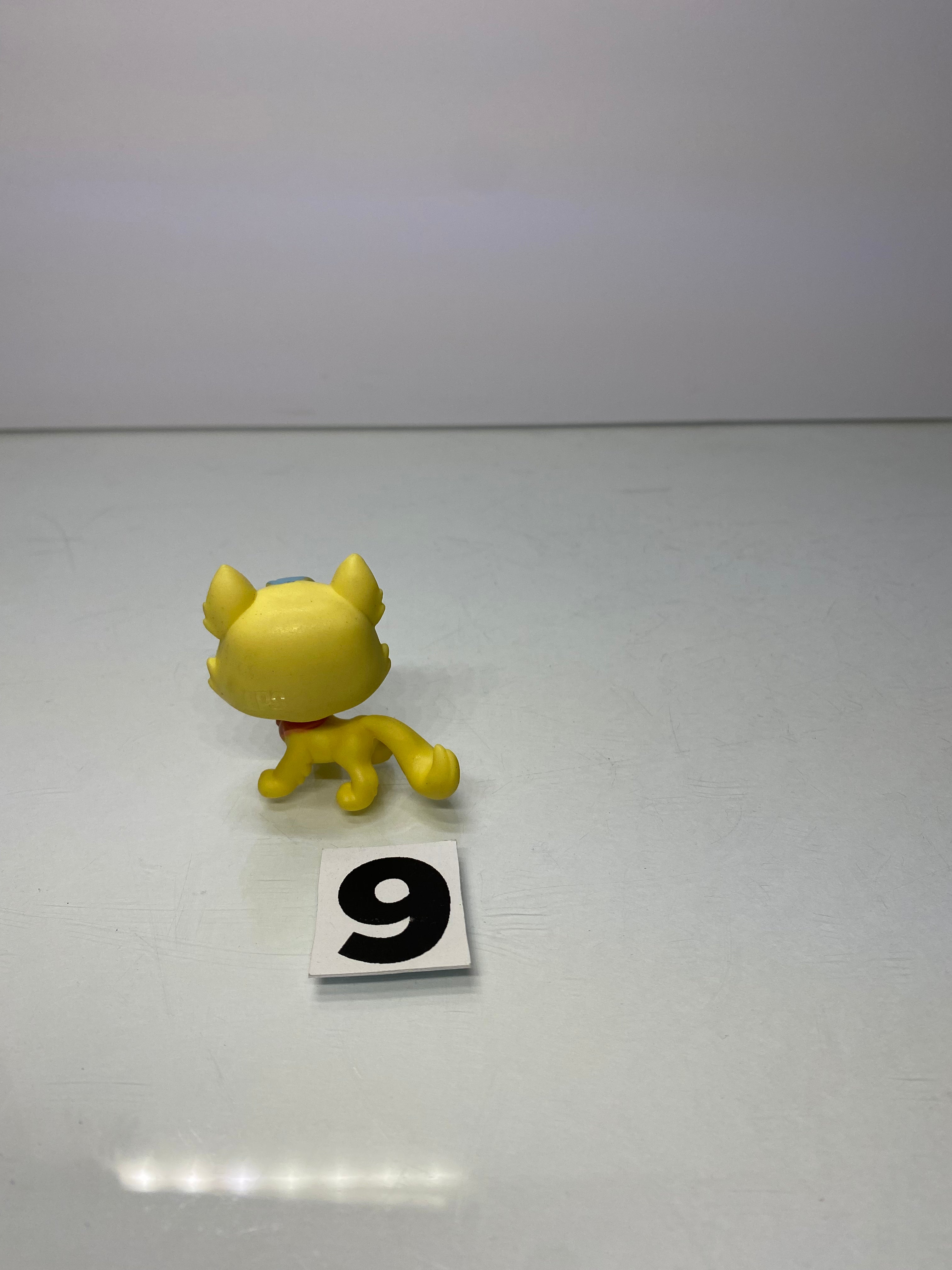 Cat Toy