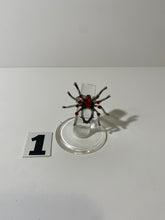 Load image into Gallery viewer, Silver Tone Spider Ring
