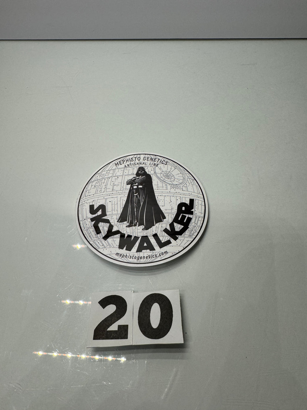 Skywalker Sticker