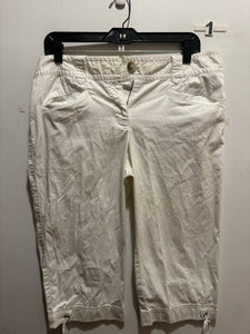 Women’s 10 Ann Taylor Pants