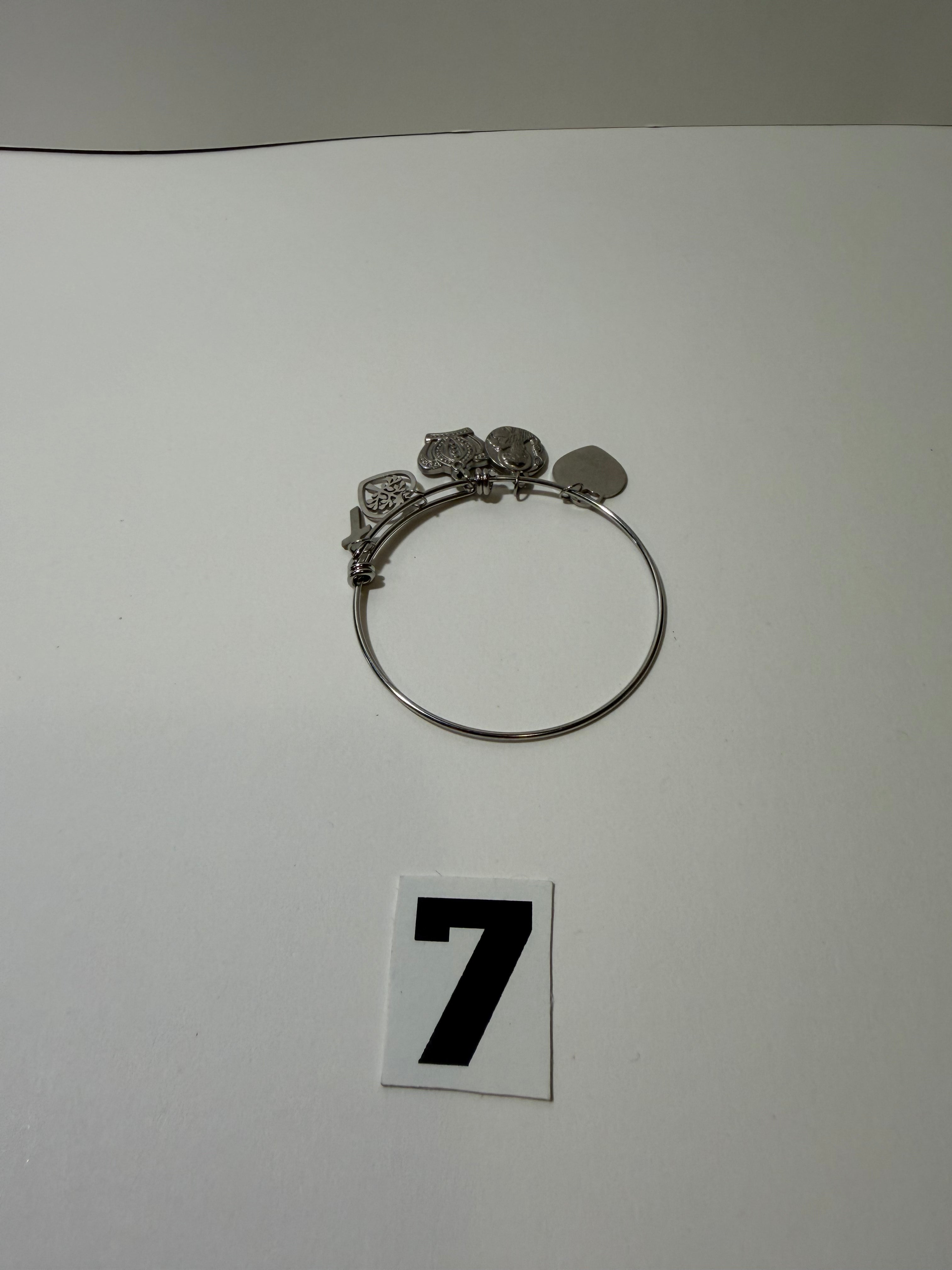 Chrome Charm Bracelet