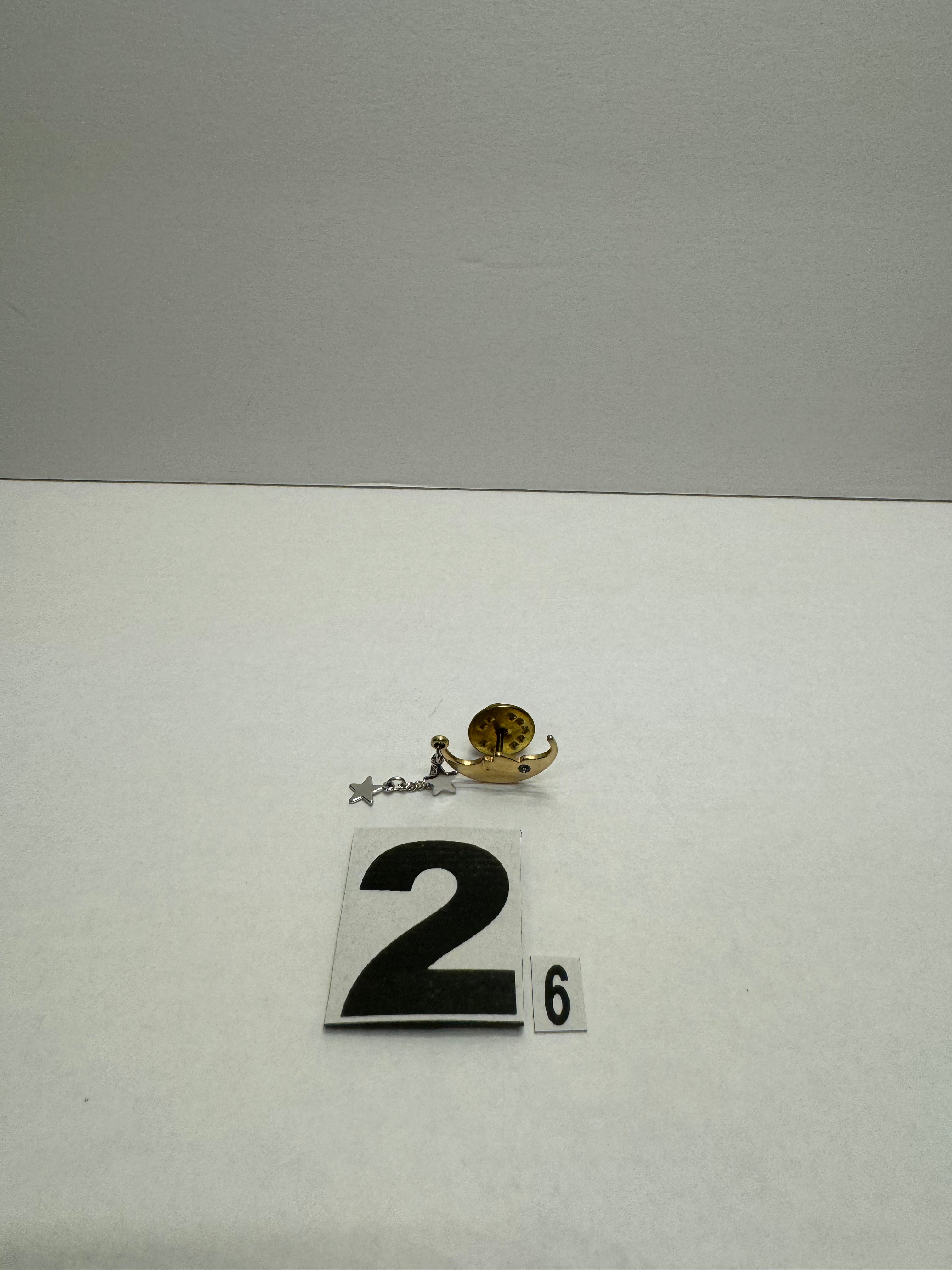 Moon Pin