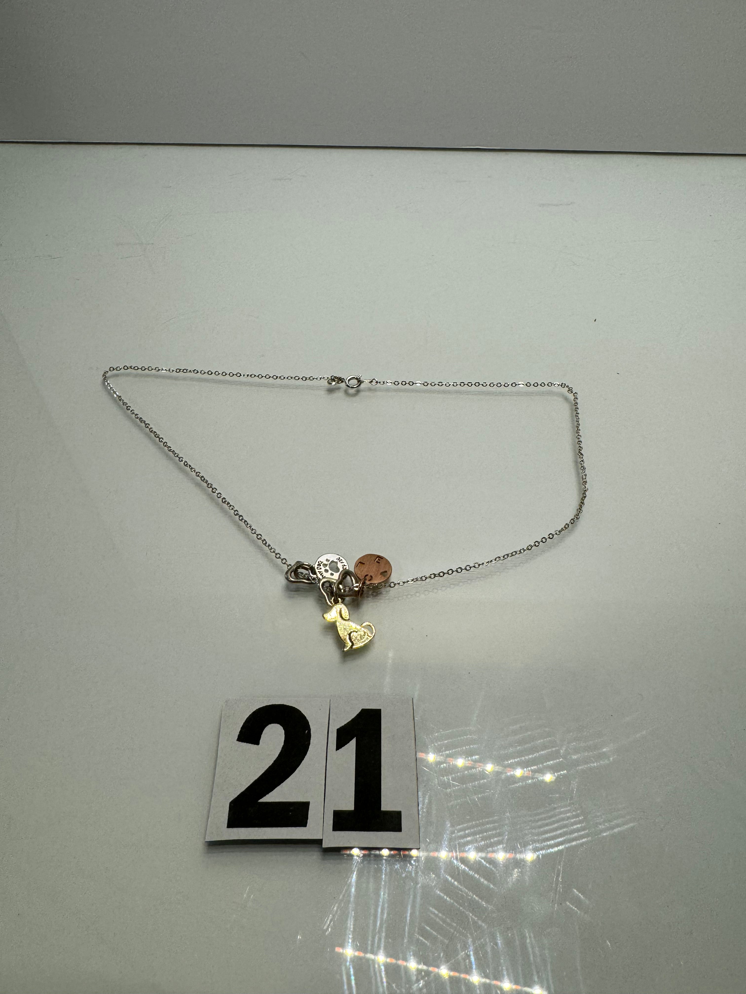 Chrome Dog Necklace