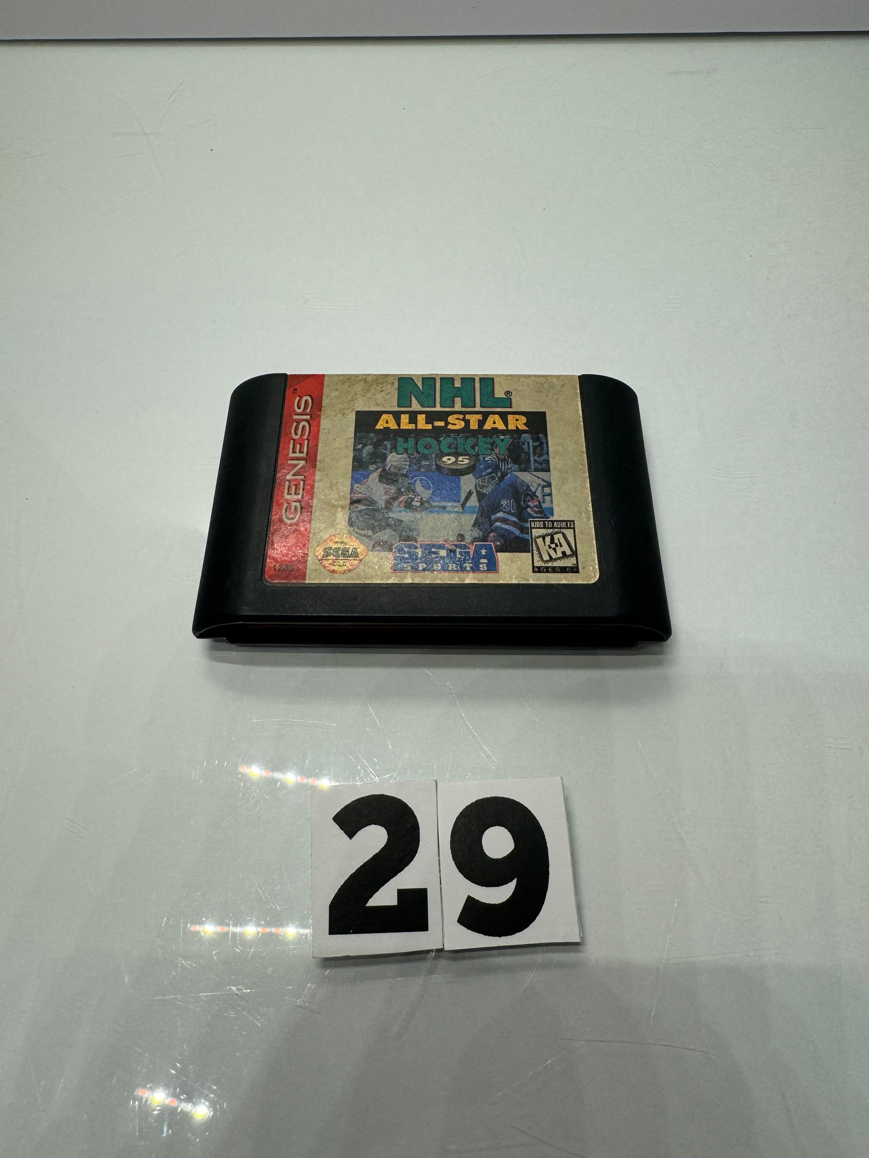 Sega Hockey Video Game