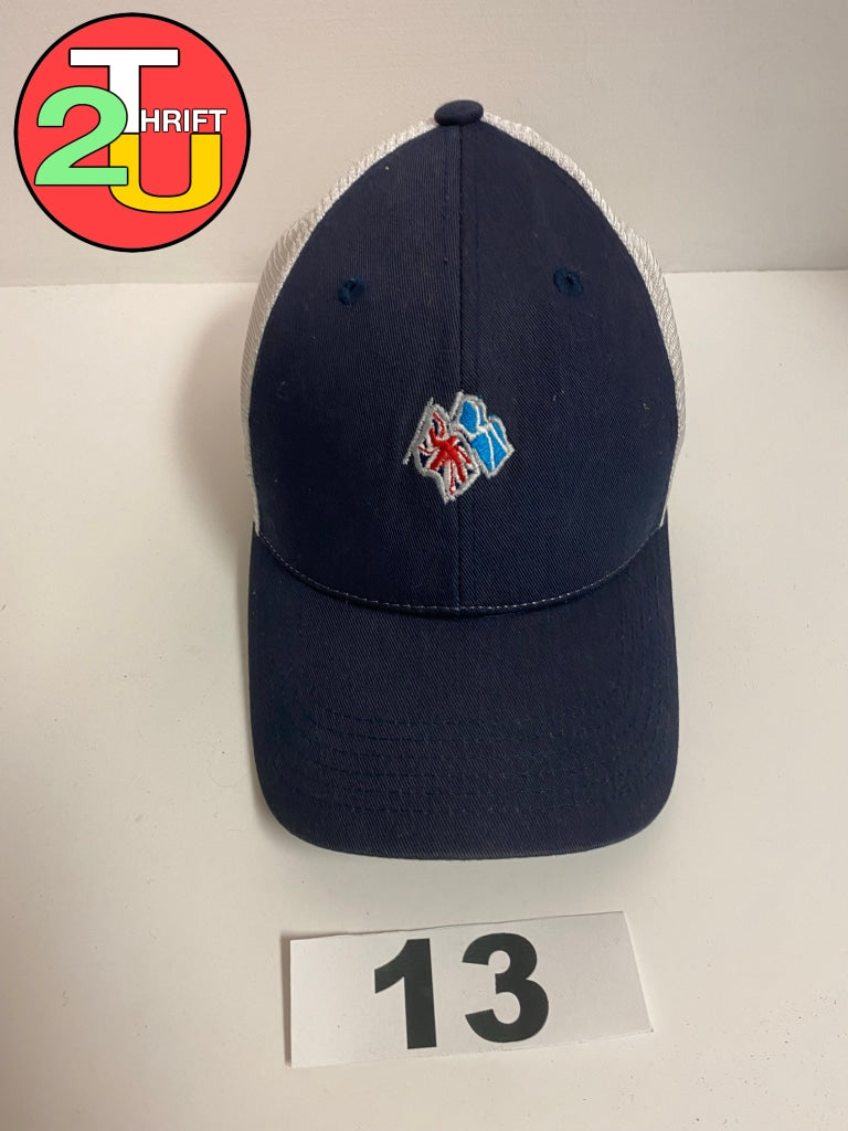 Blue Hat