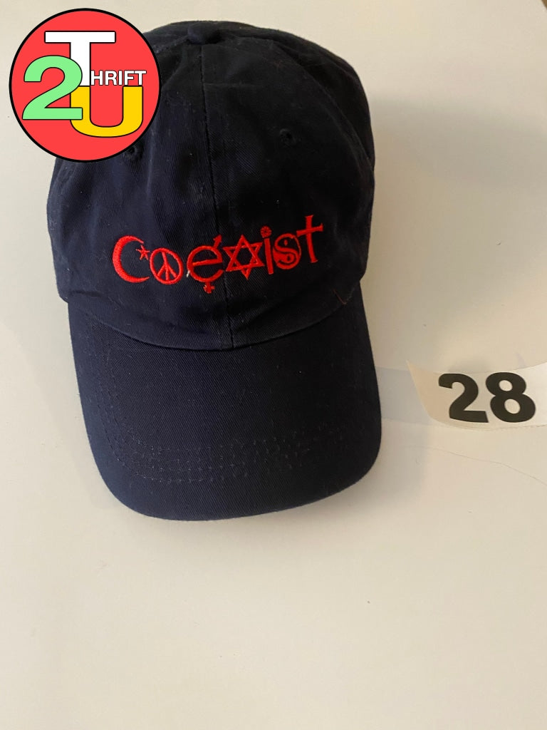 Coexist Hat