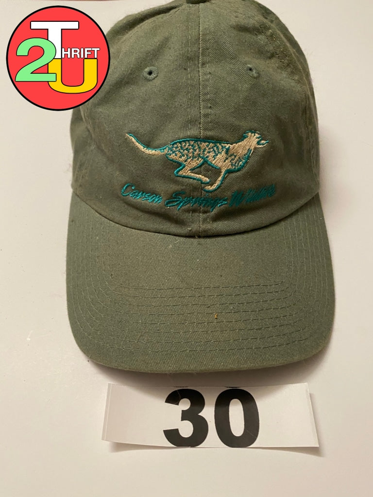 Greyhound Hat
