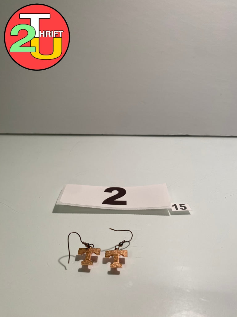 Orange Earrings