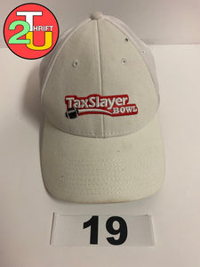 Tax Slayer Hat