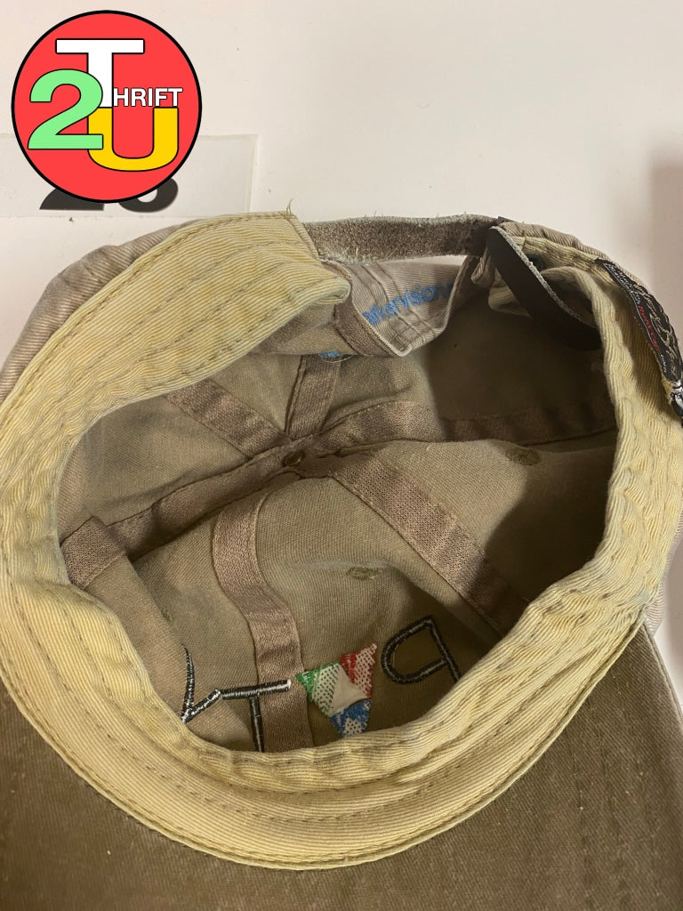 TV Hat