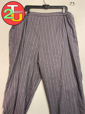 Womens 24W Dress Pants