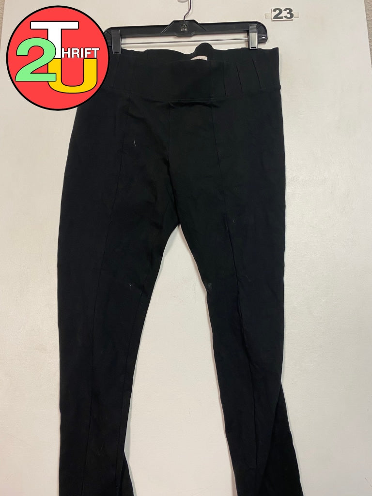 Womens L Established Pants